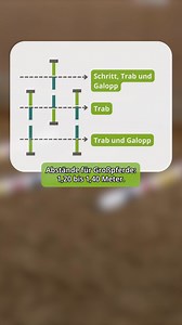 Drei Stangen – unendliche Möglichkeiten! 🐴✨ Ob Schritt, Trab oder versammelter Galopp – mit nur drei versetzten Stangen könnt ihr eure Kreativität freien Lauf lassen und eure Pferd optimal trainieren. 🎠 👉 Worauf ihr achten solltet: ✔ Schaut frühzeitig auf die Stangen und bereitet die Übung gut vor. ✔ Rahmt eure Pferd mit euren Hilfen ein, um die Linie zu halten. ✔ Gibt minimal mit den Händen nach, damit euer Pferd den Hals fallen lassen können. 🎥 Im Kurs „20 verschiedene Stangenübungen“ mit 