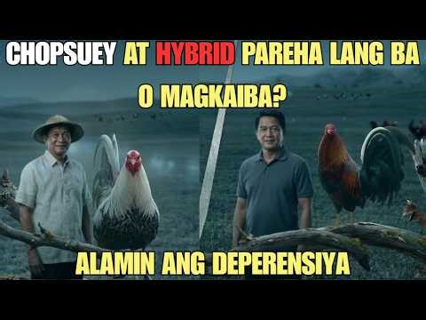 CHOPSUEY O HYBRID ALIN ANG MAS MALAKAS?