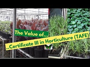 The Value of Certificate III in Horticulture (TAFE NSW)