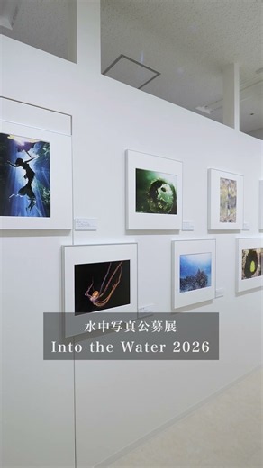 写真展│7/30(木)～ 水中写真公募展「Into the Water 2026」