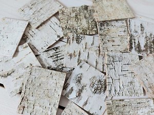 30 White Birch Bark Sheets: Rustic Wedding & DIY Craft Decor - Etsy