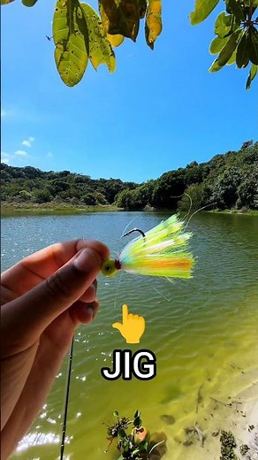 A ISCA INFALÍVEL 🎣 #pescaria #fishing #pesca #iscaartificial #tucunare