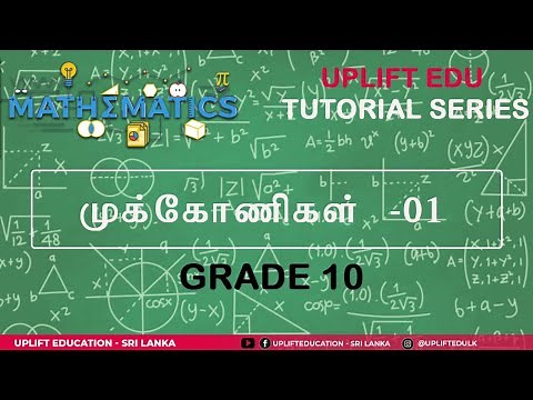 Triangles - 1 | முக்கோணிகள் -1 | Maths | Grade 10 | Tamil