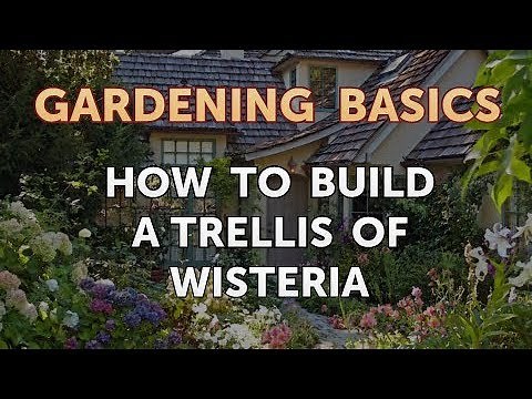 How to Build a Trellis of Wisteria