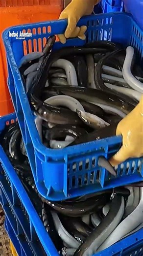 Unbelievable speed cutting eel fillet like a pro #knifeSkills #eelfillet #fishprocessing