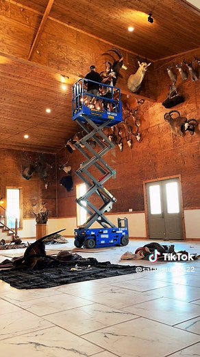 Trophy room setup is just part of what we do! #TrophyRoom #Deer #Whitetail #Africa #Safari #SafariStudios #Taxidermy #Hunting #Outdoors