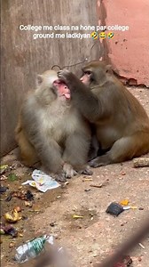 college me class na hone par 🤣😂🤣#viral #funny #trending #popular #collegelife #comedy #monkey #like