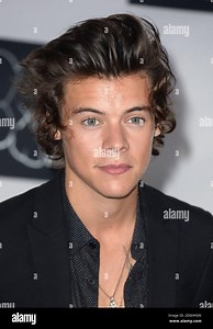 Harry Styles from One Direction backstage in the Awards Room at the MTV Video Music Awards 2013, The Barclay Centre, Brooklyn, New York Stock Photo - Alamy