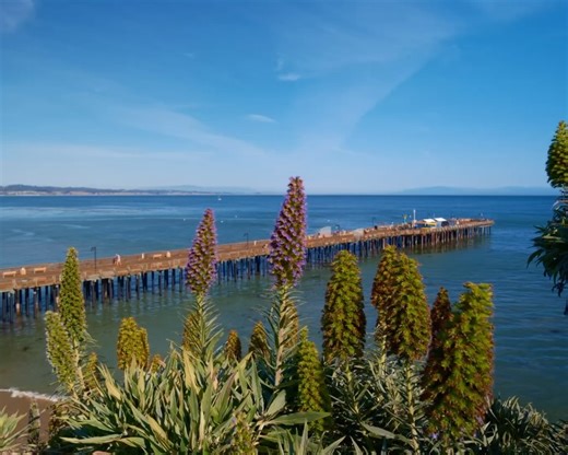 Visit Santa Cruz on Reels