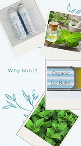 2.4K views · 3 comments | Why do we use mint in our products? Well,...