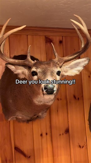 Humorous Deer Hunting Communication Tips