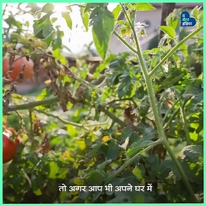 3.5M views · 10K reactions | बिहार के छपरा की रहनेवाली सुनीता प्रसाद...