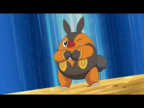 All Ash's Pignite moves