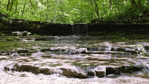 clip-3997493001-raven-run-creek-ravine-nature-sanctuary-lexington