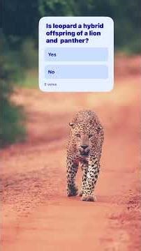 Very Close up moments #leopard #wildlife #africansafari #africawildlife