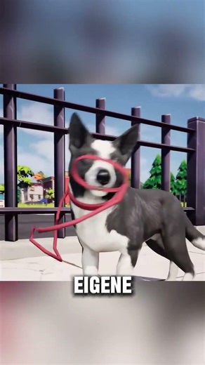 Der kleine Held mit der Leine – Was dann passierte, rührte alle! 🥹