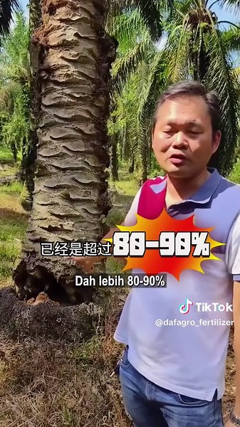 及时救治病树，提升产量与收入