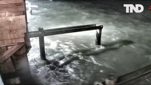 2.2K reactions · 627 shares | BREAKING: We have the latest, local coverage of Hurricane Idalia as it moves from Florida toward Georgia and South Carolina. Follow NewsON for live breaking news and weather updates, and go to newson.us/breakingNews to watch now! | NewsON | Facebook