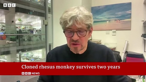 Chinese Scientist Create First Healthy Cloned Rhesus Monkey; Here's The Tech Behind This Milestone