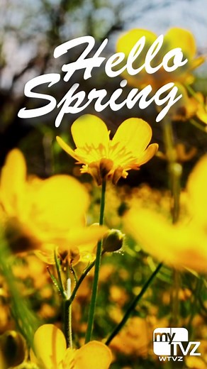 Happy 1st day of Spring! How are you celebrating? #myTVZ #Spring #FirstDayofSpring #HamptonRoads | myTVZ - WTVZ