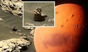 UFO sighting: Claim ‘alien creature with tentacles’ found on Mars