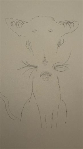 Brad on Instagram: "She loved it 🥹 @sean_trujillo #drawings #drawing #draw #cats #cat #alien #fyp #selftaught"