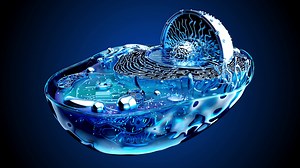 4k Abstract Animation Of Biological Cell Stock Motion Graphics SBV-347773388 - Storyblocks