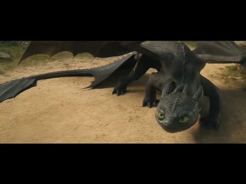 How To Train Your Dragon - Toothless Tribute 
