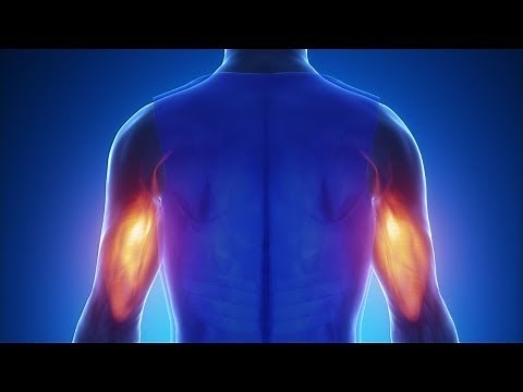 Triceps Tendon Rupture Symptoms and Proven Treatment