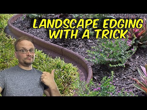 Lawn Edging Ideas Best Border for 2024