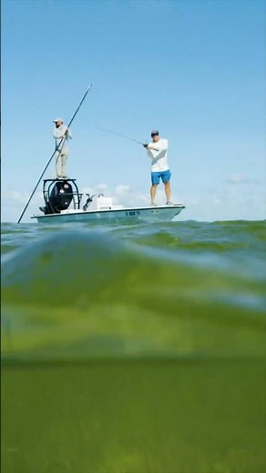 Is a vacation to Key Largo worth it? We found out for ourselves! #keylargo #thefloridakeys