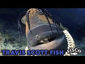 How to get the TRAVIS SCOTT FISH in Fisch!