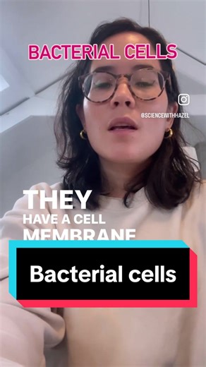 Bacteria are prokaryotic - this means that they don’t have a distinct nucleus. Instead they have a circular chromosome known as a nucleoid as well as smaller strands known as plasmids. Bacterial cells have a cell wall, cytoplasm, cell membrane and sometimes a capsule and flagellum. This reel is suitable for gcse and igcse biologists x #gcse #gcsescience #gcserevision #igcserevision #studygram #gcseresults #gcsebiology #studybiology #science #swh