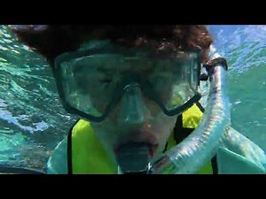 Reef Snorkeling John Pennekamp State Park B's Camera 2