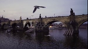 A flock of seagulls flies near the Charles Bridge. Seagulls fly over the river. Boat trip on the Vltava River in Prague. Panoramic view of the city from a boat on the river in the Czech Republic.