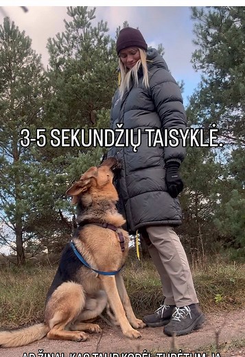 Taisyklės, kaip saugiai bendrauti su šunimis