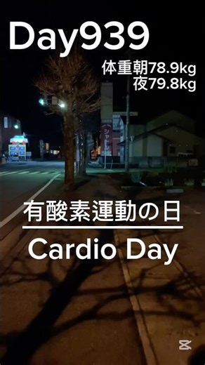 【筋トレ939日目】有酸素運動の日#筋トレ #トレーニング #徒歩 #富山 #ホームジム#muscle #cardio #有酸素運動 #ワークアウト#忘年会 #散歩 #shorts #Blitz #冬