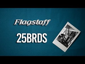 2020 Flagstaff Micro Lite 25BRDS Walk Through
