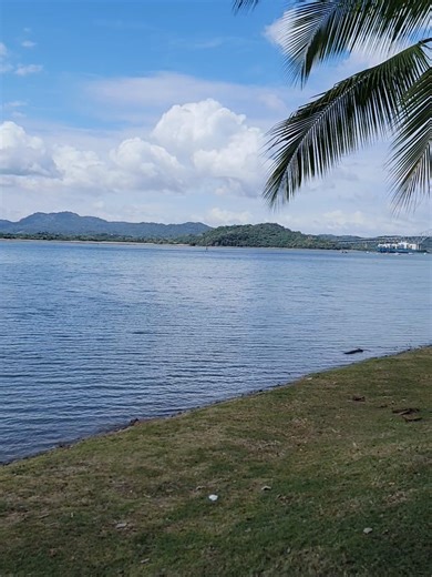 Yes, this is still Panama! Outside with my client from Guyana just exploring Panama. #panama #visafree #traveldeals