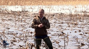 Lingering winters can negatively affect early nesters such as pintails and mallards. However, this year there’s a silver lining. Dr. Frank Rohwer explains. | Delta Waterfowl Foundation