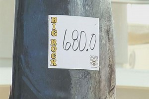 57th Annual Big Rock Blue Marlin Tournament Ends with Viking 62