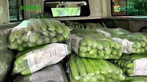 Farmers share their harvest with families in need this noche buena #GulAyudaNocheBuena | Agribusiness