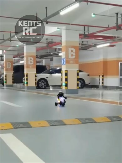 Explore the Exciting World of RC Cars