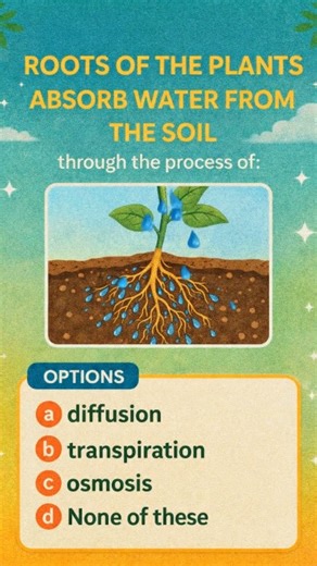 Important questions series # Life process #class10th #extraquestions