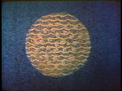 The Day Tomorrow Began: The Story of Chicago Pile 1, the First Atomic Pile - 1 of 2