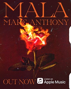#MALA desde el primer momento! OUT NOW!💃🏽❤️‍🔥🌹💄 https://MarcAnthony.lnk.to/Mala | Marc Anthony