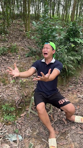 Bushcraft skills #bushcraft #survival #camping #outdoors #forest #shorts
