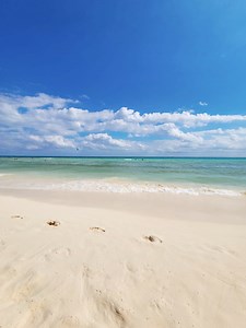 2.4K views · 97 reactions | Si buscas disfrutar de tus próximas vacaciones en familia, allegro Playacar te espera con esta hermosa playa. Reserva tu estancia en barcelo.com __ If you are looking to enjoy your next family vacation, allegro Playacar awaits you with this beautiful beach. Book your stay at barcelo.com or Call Center: 800 227 2356. #playadelcarmen#allegroplayacar #mexico #caribbean #Traveler #Enjoylife | Allegro Playacar | Facebook