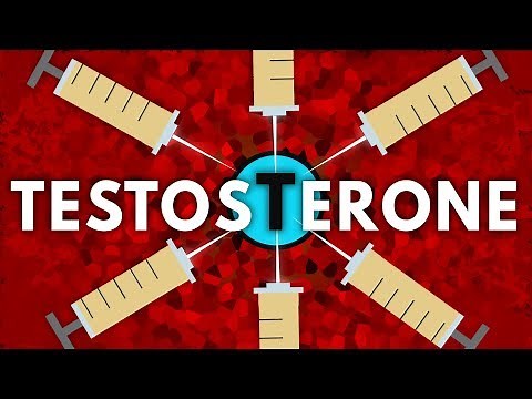 What Does Testosterone Really Do To Your Body?