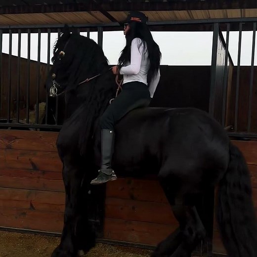 the perfect halloween costume for horses